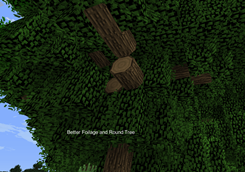 The Trees are Round. and the Leaves are Realistic. You can also See the Sky thanks to Epic Skies