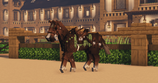 Asheerah's Medieval Collection