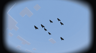 birds.png