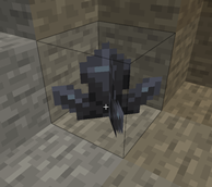 Shungite Crystals