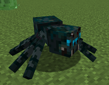 Shungite Spider