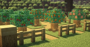 FruitTrees.jpg
