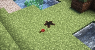 ItemHole.jpg