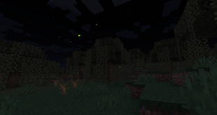 Fireflies in a swamp