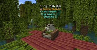 Lots of pet enchantments for summoner