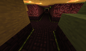 Nether Fortress in Toxic Heap