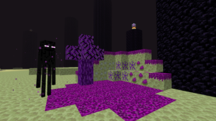Blocks Showcase