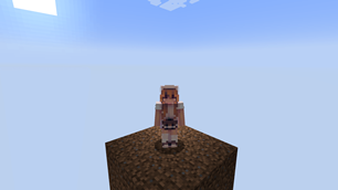 Dirt block