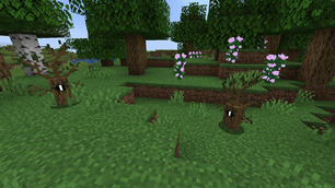 Woodlings at daytime
