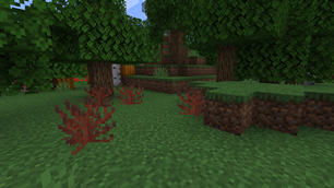 Weird Shrubs