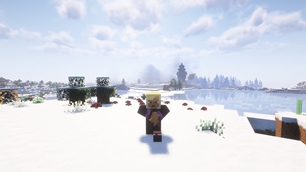 FriendsCraft