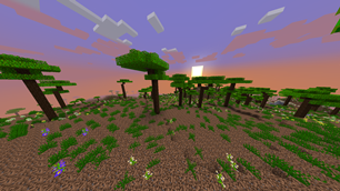 The Living Desert biome.