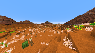 Dried grass spawning in a mesa.