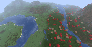 Birch Forest and Dark Forest