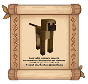 5.monkey.png