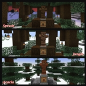 Woods 2 Annotated.jpg