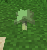 Acidic mushroom