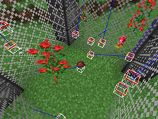 Resource Pack (bounding boxes shown)