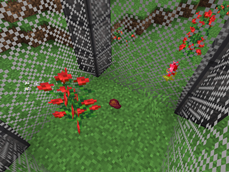 Resource Pack (No bounding boxes shown)