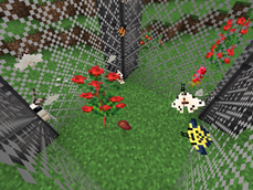 Without the resource pack