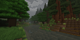 2025-08-09_00.01.37.png
