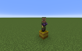 tamer snapshot