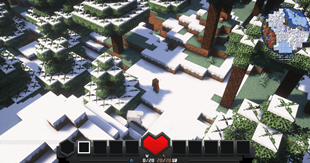 Taiga forest
