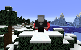 Disabled use of the Elytra