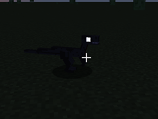 eyes glow at night