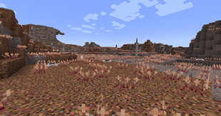 screenshot2.png