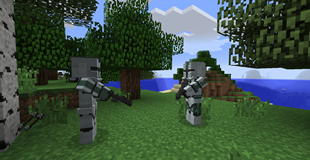 41st Elite Corps Guarding