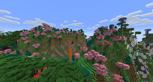 Sakura Grove