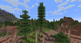 Stony Spires