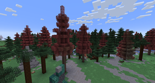 Forested Highlands