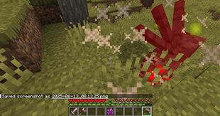 that spider didn't last very long!.png