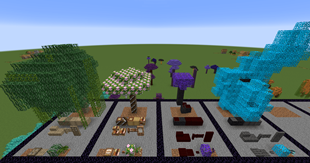 First 4 Special trees