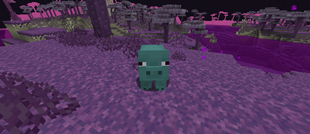 Fresh Ender Swine