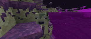 Fresh Ender Cattle