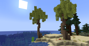 Updated Beach