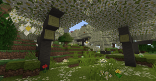 Magnolia Forest