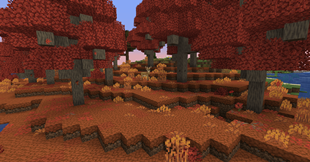 Maple Forest