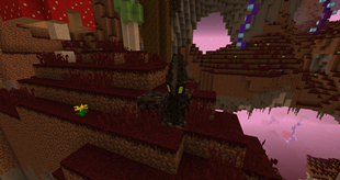 Infestation