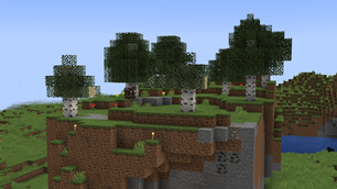 Birch Forest Stage