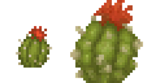 tiny_cactus_resized.png