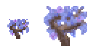 jacaranda_sapling_resized.png