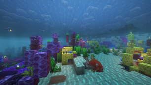 Explore the oceans