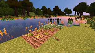 farm