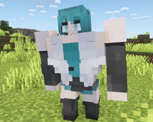 Skin example 4