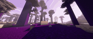Draconic Rift Biome