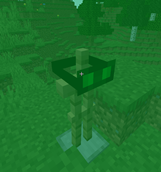 Night Vision Goggles